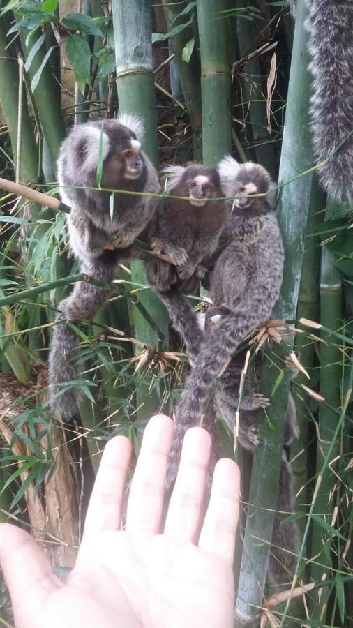 Pousada Toca Do Robalo Itanhaém 外观 照片